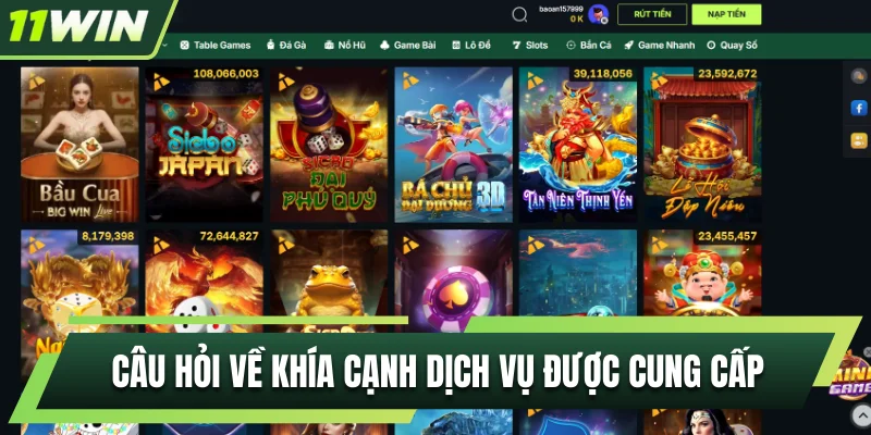 Câu hỏi về khía cạnh dịch vụ được nhà cái cung cấp
