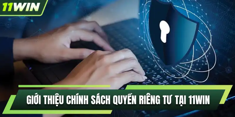 Giới thiệu chính sách quyền riêng tư tại 11WIN