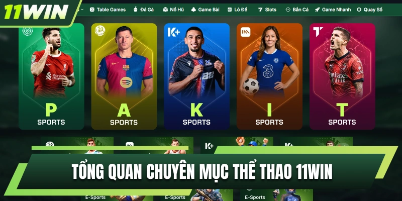 Góc tổng quan về sân chơi thể thao 11WIN chất lượng