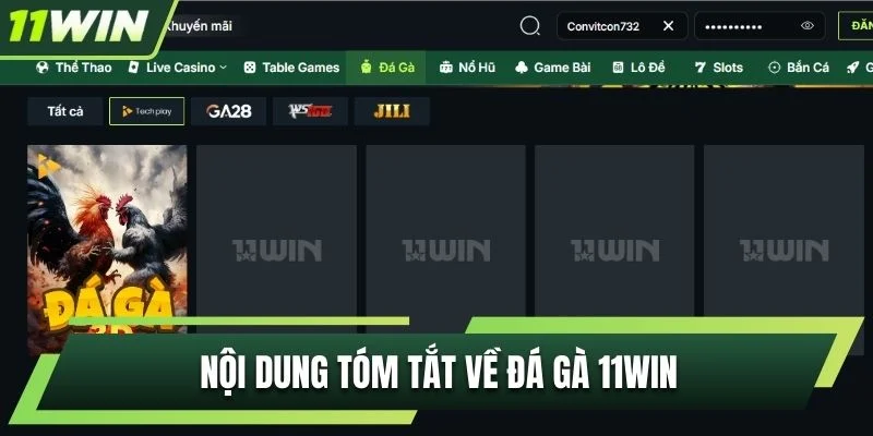 Nội dung tóm tắt về đá gà 11WIN
