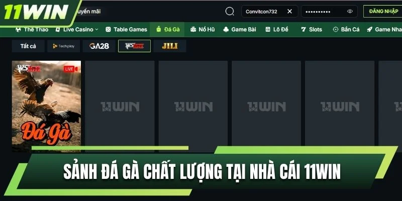Sảnh đá gà chất lượng tại nhà cái 11WIN