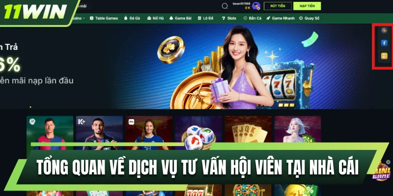 Tổng quan về dịch vụ tư vấn hội viên tại nhà cái