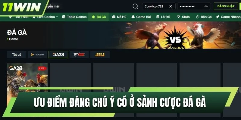 Ưu điểm đáng chú ý có ở sảnh cược đá gà